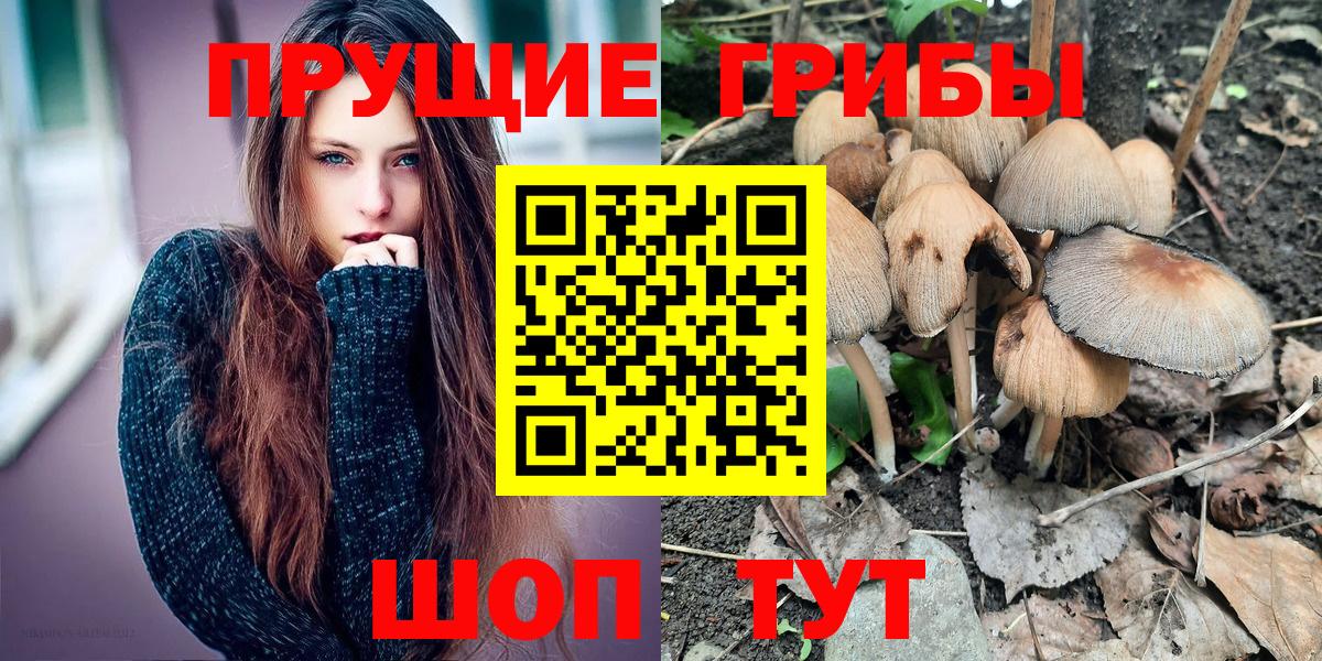 Псилоцибиновые грибы ЛСД Зеленогорск